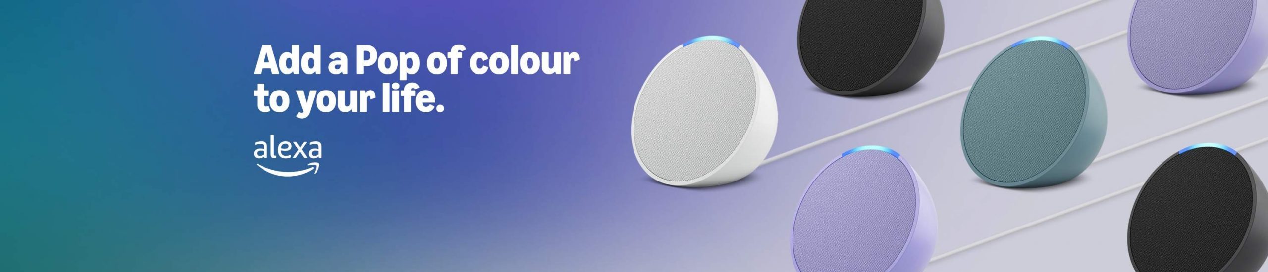 61wGVuYYQWL._SX3000_